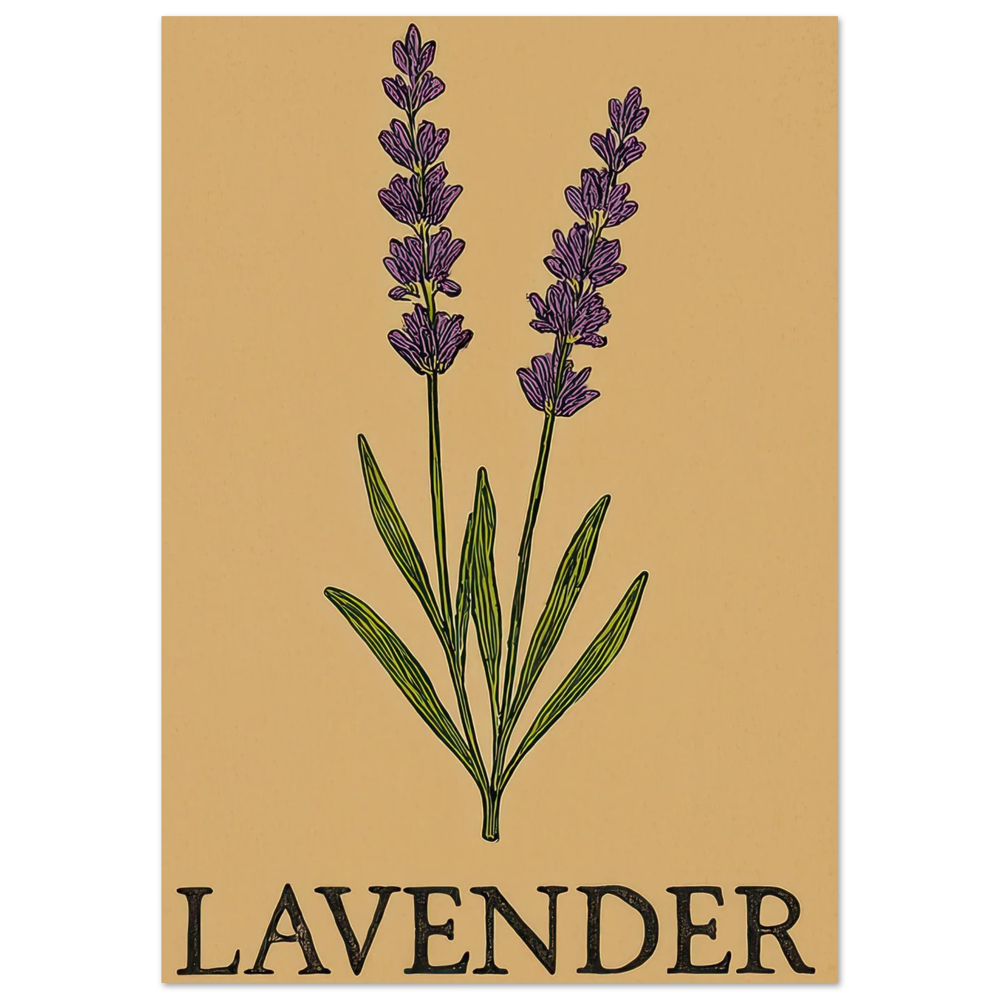 3b16bb18-2438-485d-a60e-180d18bd9530