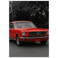 4257bb55-2699-4351-a627-fa8784086e2c