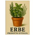 53c3f950-e3f3-45a2-bcd9-9ecbfa9f9b2b