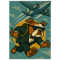 e9d346a0-fefd-423b-be5f-25dfc143c088
